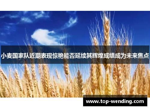 小麦国家队近期表现惊艳能否延续其辉煌成绩成为未来焦点